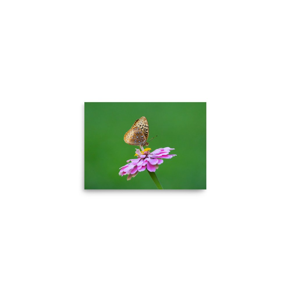 premium-luster-photo-paper-poster-(in)-5x7-front-67d6367911b17.jpg