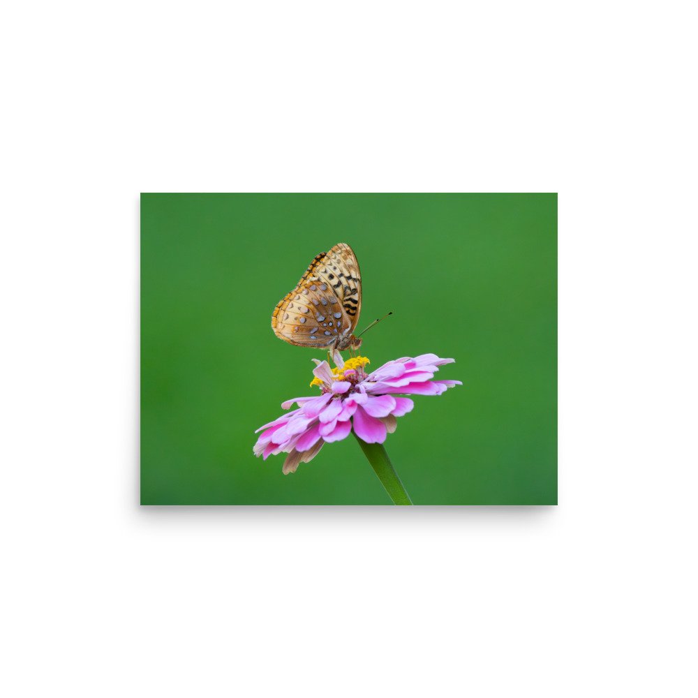 premium-luster-photo-paper-poster-(in)-12x16-front-67d6367911dee.jpg