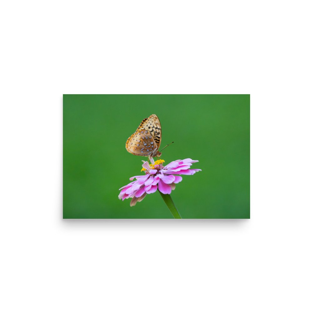 premium-luster-photo-paper-poster-(in)-12x18-front-67d6367911e9f.jpg