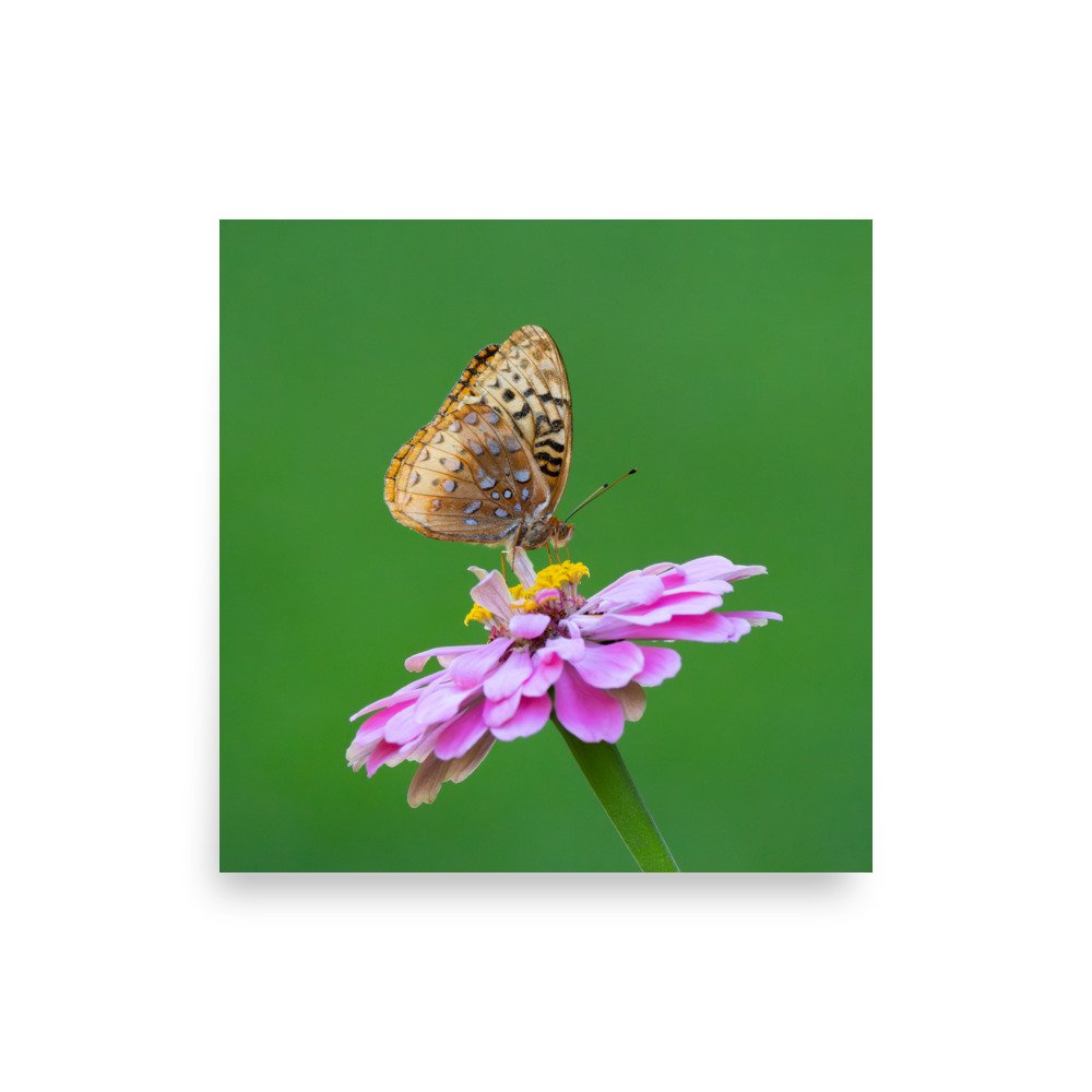 premium-luster-photo-paper-poster-(in)-14x14-front-67d6367911f4f.jpg