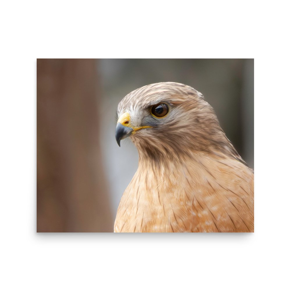 premium-luster-photo-paper-poster-(in)-16x20-front-67d6375327b3c.jpg