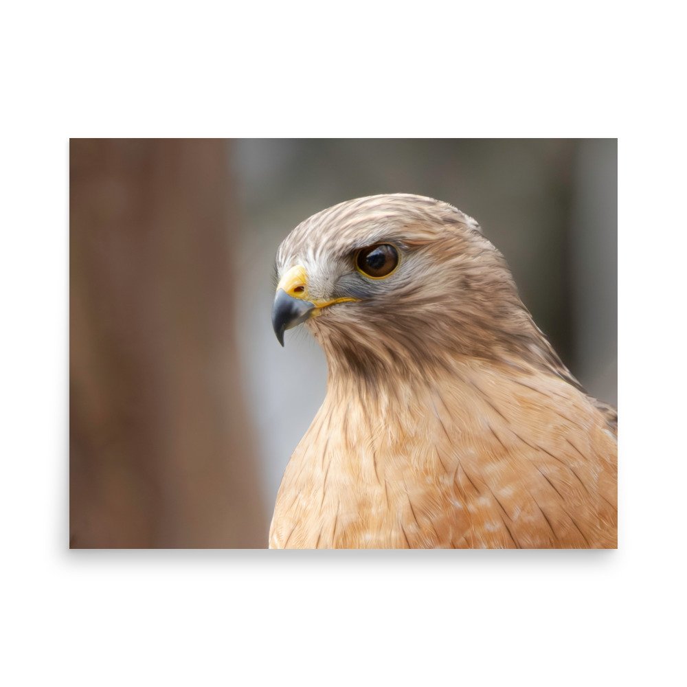 premium-luster-photo-paper-poster-(in)-18x24-front-67d6375327c7f.jpg