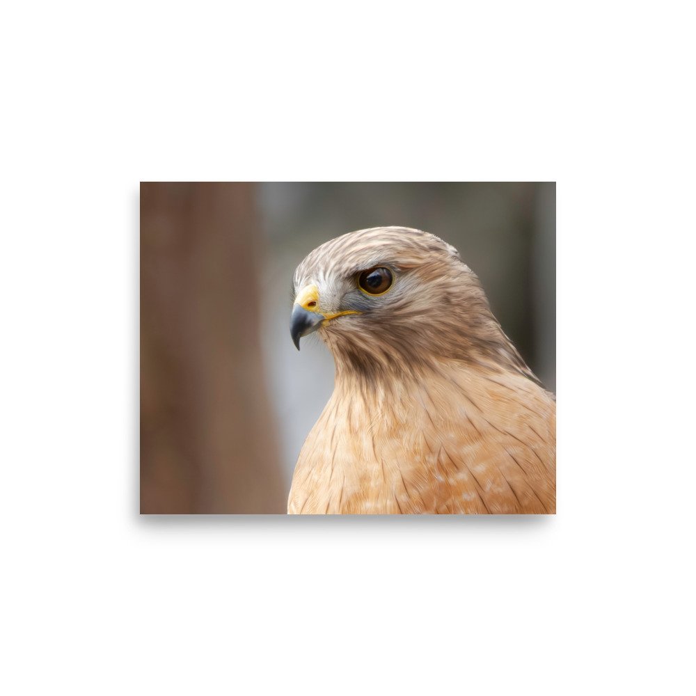 premium-luster-photo-paper-poster-(in)-8x10-front-67d6375327dbd.jpg
