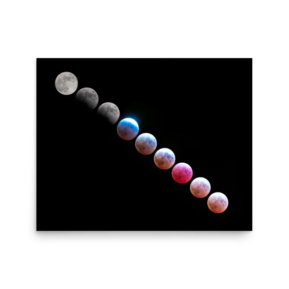 premium-luster-photo-paper-poster-(in)-16x20-front-67d63bc6c178d.jpg