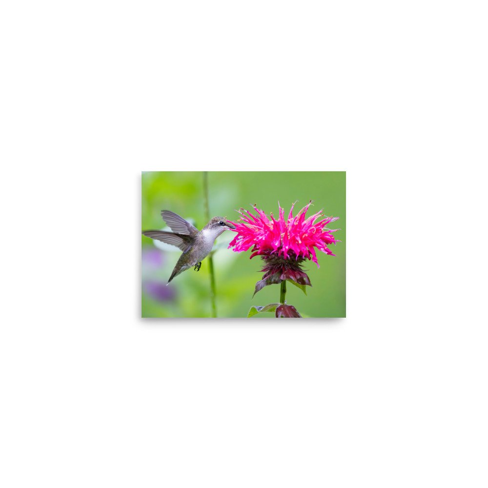 premium-luster-photo-paper-poster-(in)-5x7-front-67d6426826969.jpg