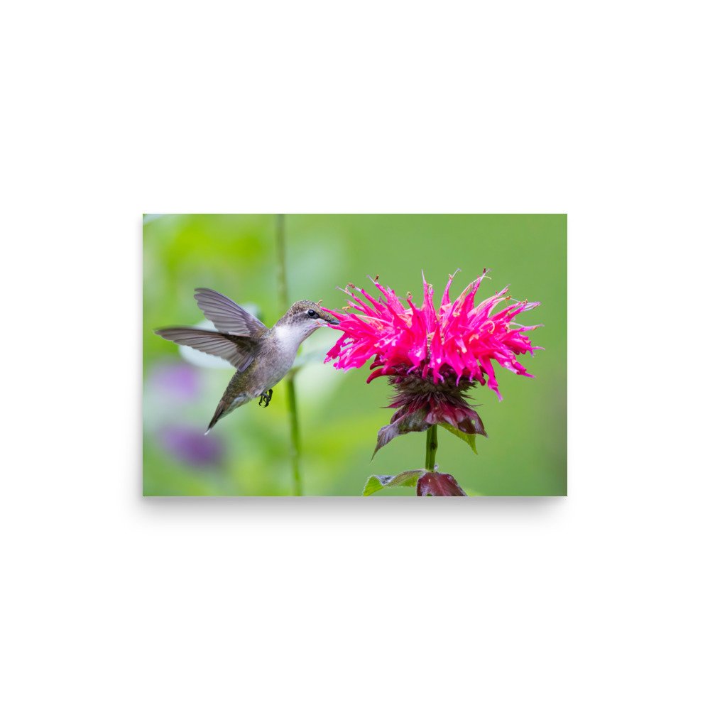 premium-luster-photo-paper-poster-(in)-12x18-front-67d6426826cc8.jpg