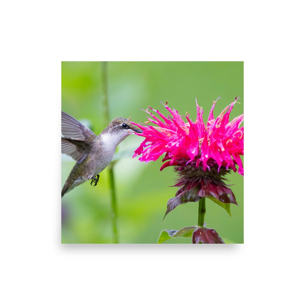 premium-luster-photo-paper-poster-(in)-16x16-front-67d6426826e23.jpg