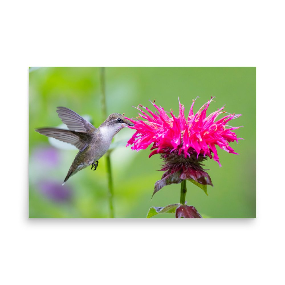 premium-luster-photo-paper-poster-(in)-24x36-front-67d64268270c5.jpg
