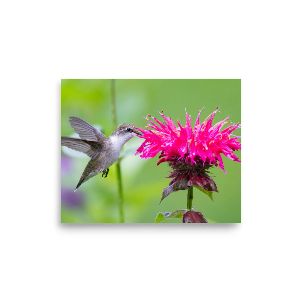 premium-luster-photo-paper-poster-(in)-8x10-front-67d642682716f.jpg