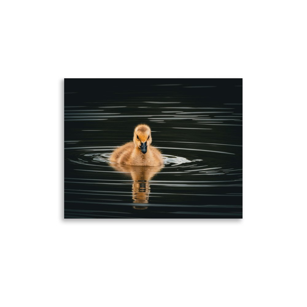 premium-luster-photo-paper-poster-(in)-11x14-front-67d644c82d853.jpg