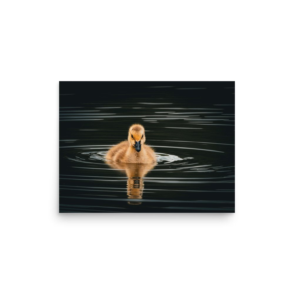 premium-luster-photo-paper-poster-(in)-12x16-front-67d644c82dac1.jpg