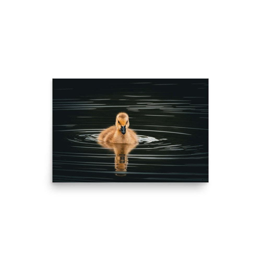 premium-luster-photo-paper-poster-(in)-12x18-front-67d644c82dbfb.jpg