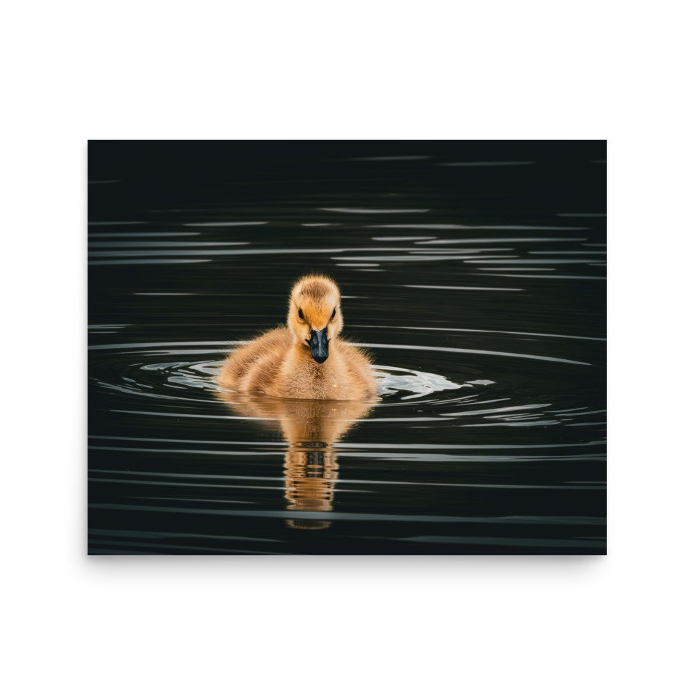 premium-luster-photo-paper-poster-(in)-16x20-front-67d644c82df50.jpg