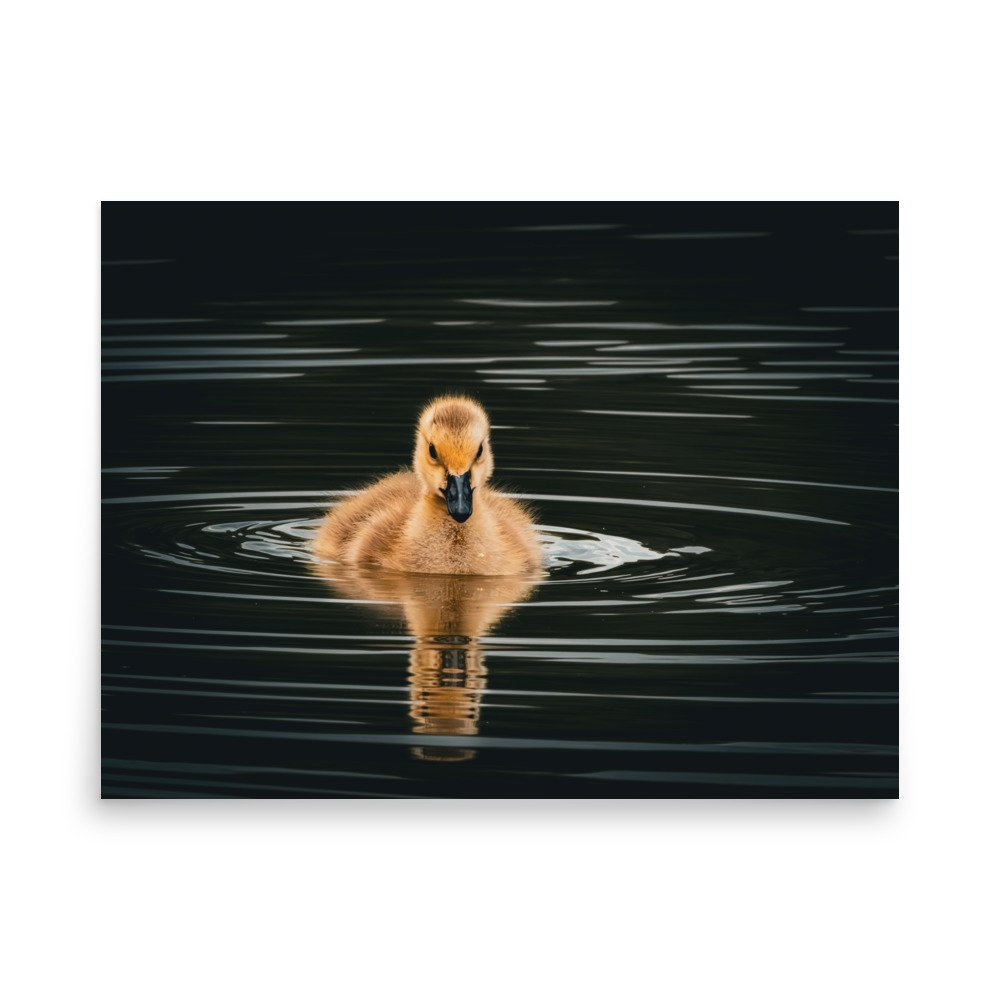 premium-luster-photo-paper-poster-(in)-18x24-front-67d644c82e18f.jpg