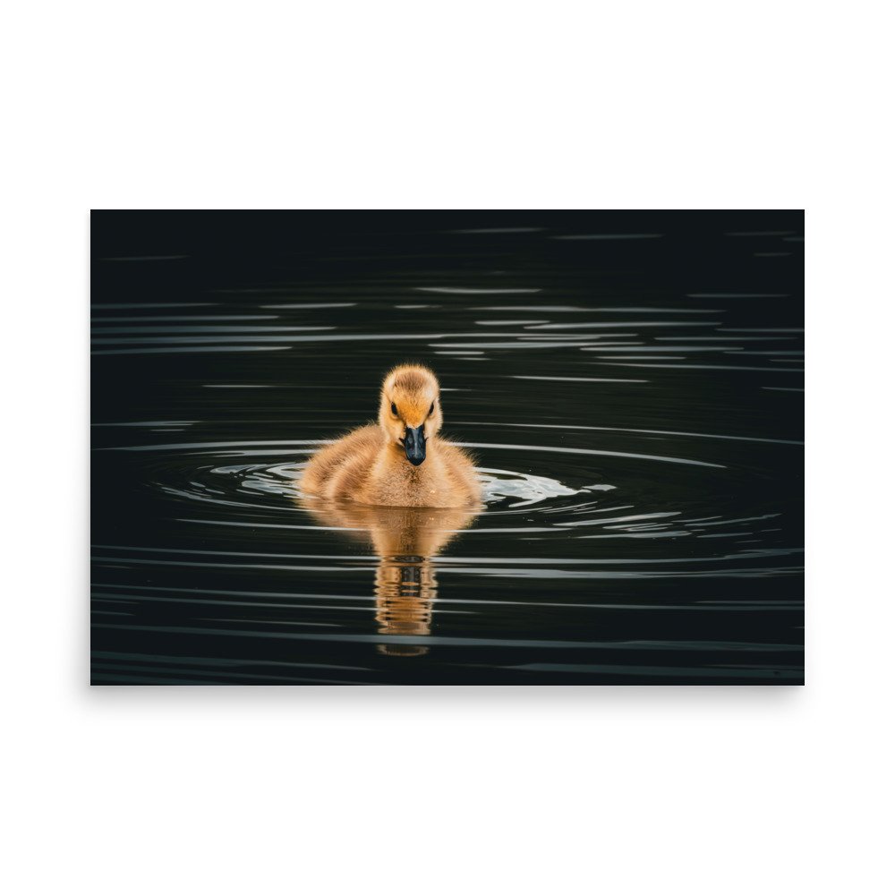 premium-luster-photo-paper-poster-(in)-24x36-front-67d644c82e2a7.jpg