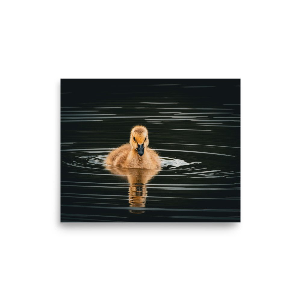 premium-luster-photo-paper-poster-(in)-8x10-front-67d644c82e3db.jpg