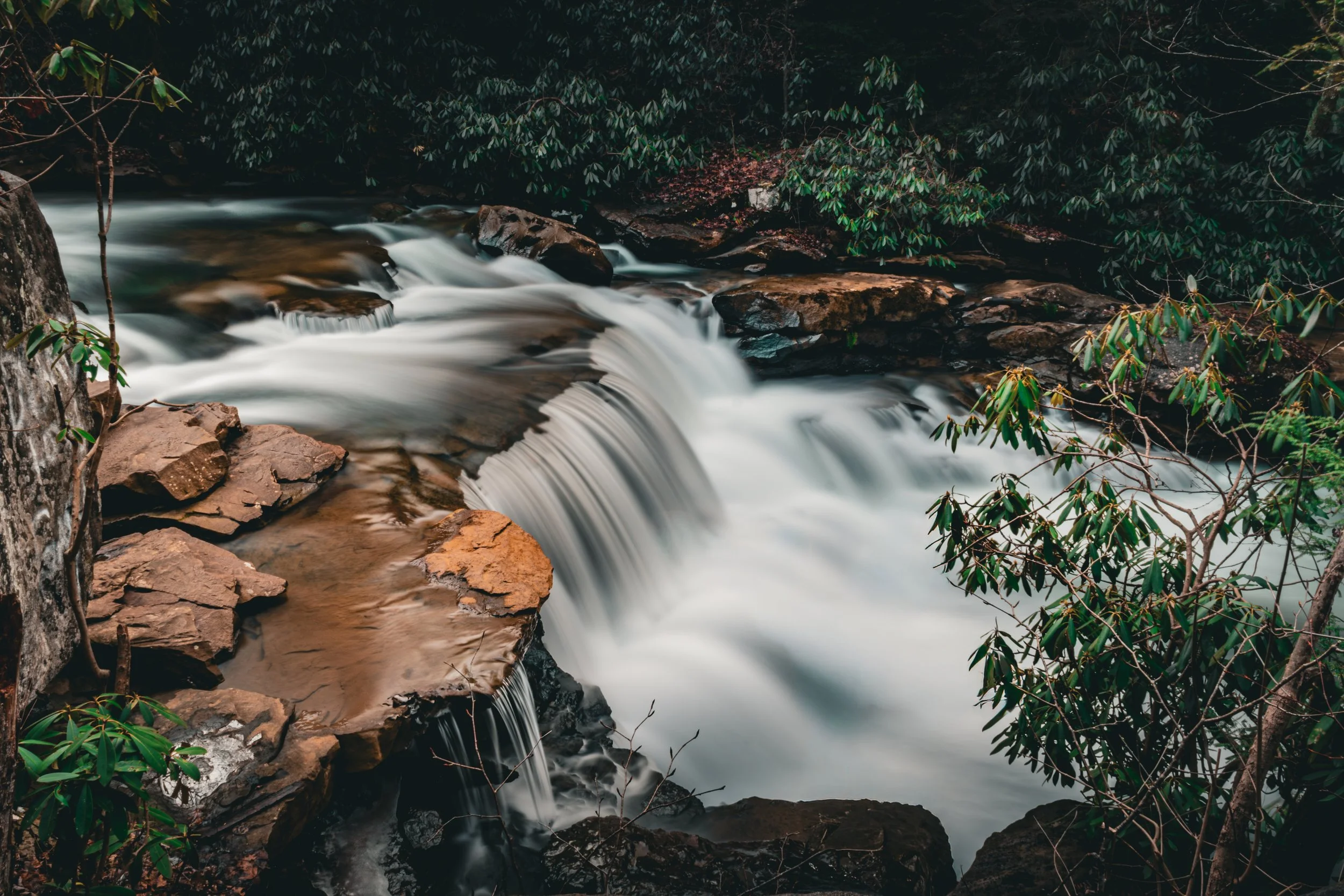 Flowing waterfall over rocks surrounded by green bushes and trees