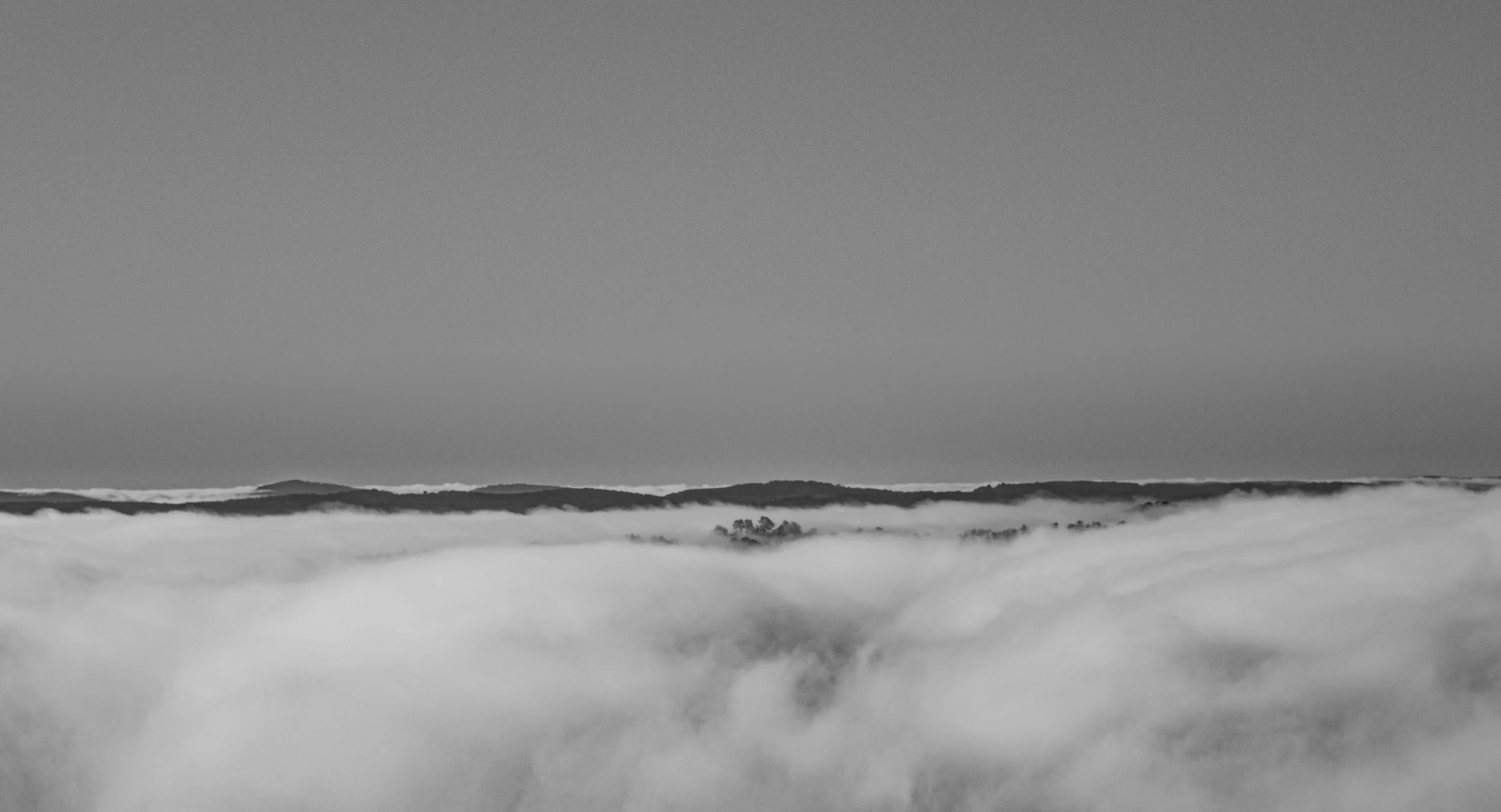 A black and white landscape photo showing hills covered with fog or low clouds, with a few trees visible in the distance under a clear sky.