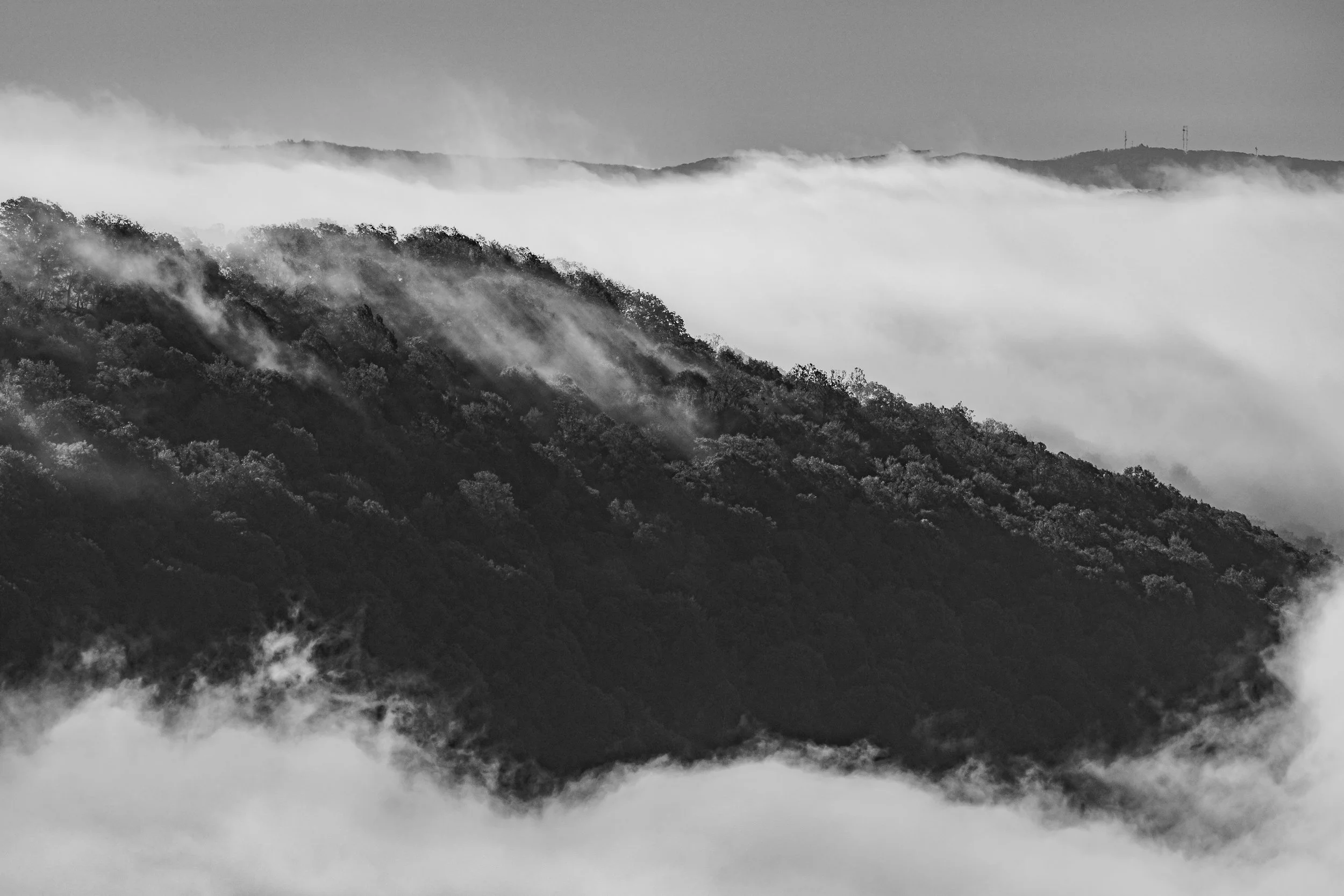 Black and white photograph of fog rolling over a mountain range with trees.