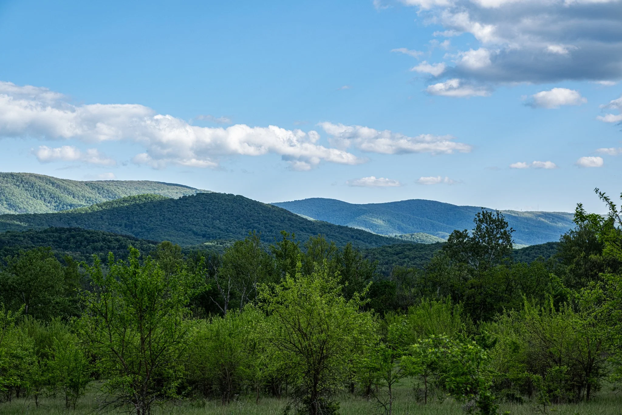 Lush green trees in a valley with rolling blue mountains in the background under a partly cloudy sky.