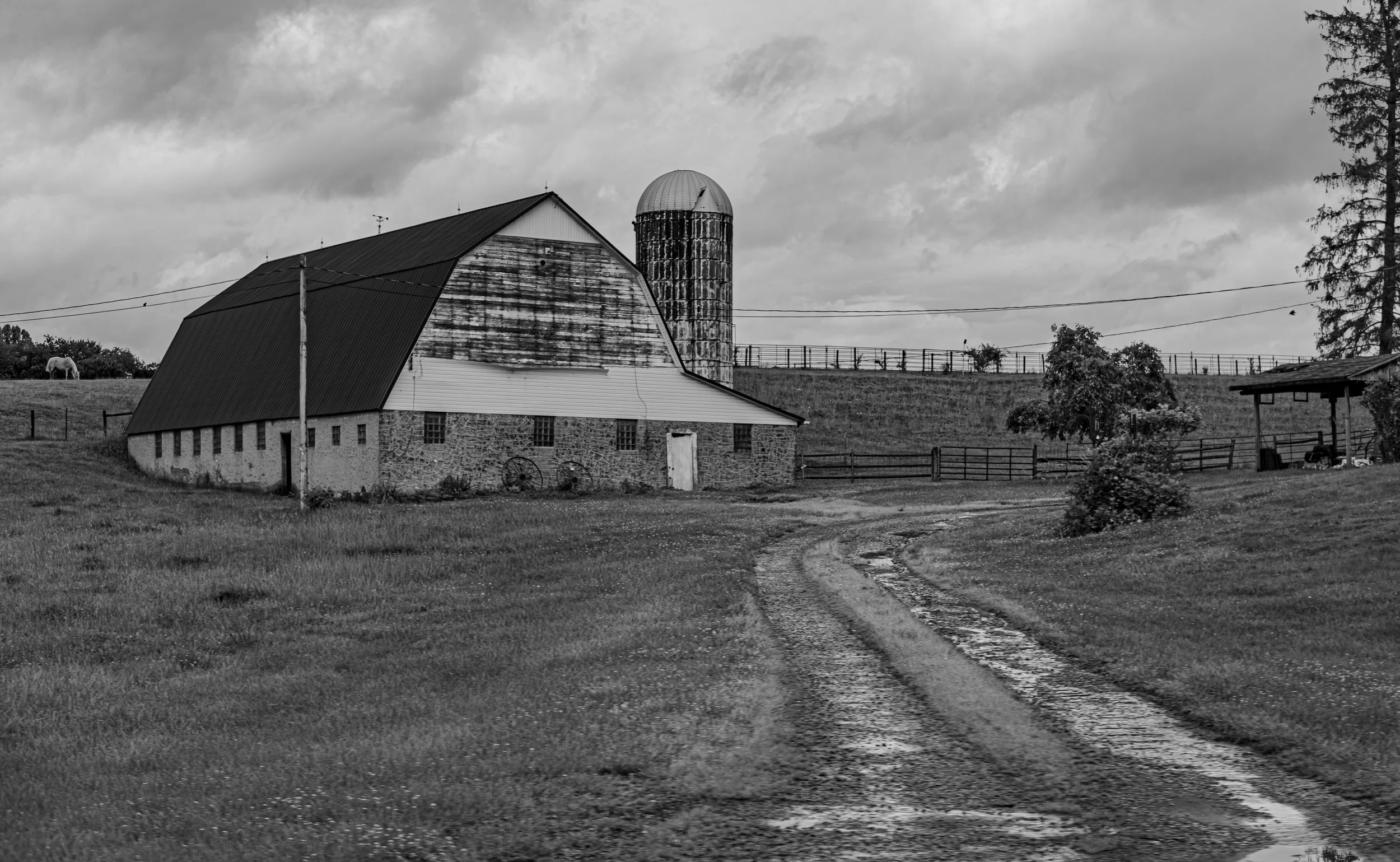 Black and white photo of a farm with a large barn, silo, and grassy fields under cloudy sky.