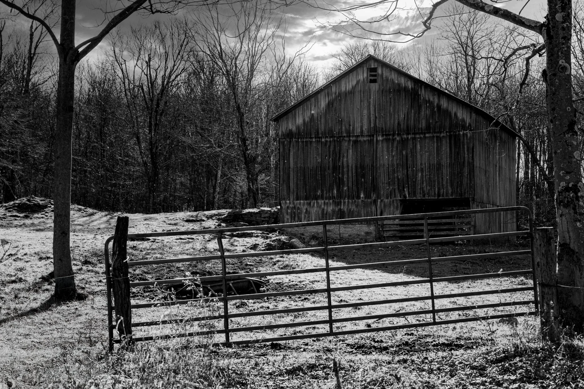 Black and white photo of an old wooden barn surrounded by leafless trees and a metal gate in the foreground, with a cloudy sky overhead.