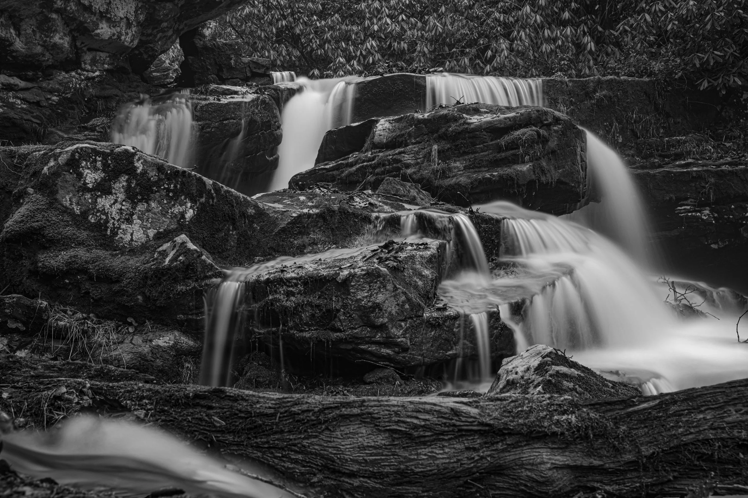 Black and white photo of a multi-tiered waterfall with water cascading over rocks and surrounded by forest foliage.