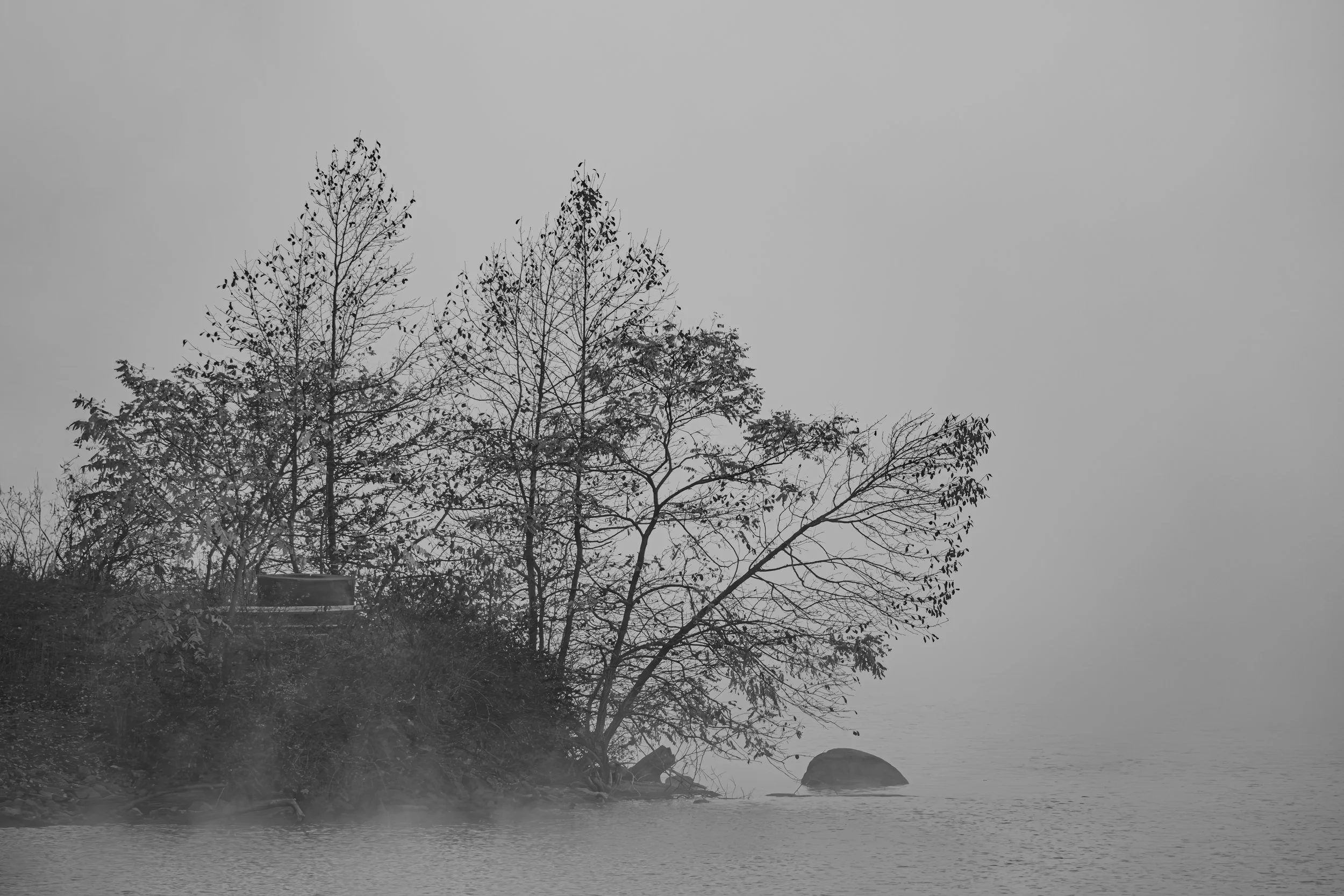 Black and white photo of a small, foggy lakeside with leafless trees and rocks near the water.