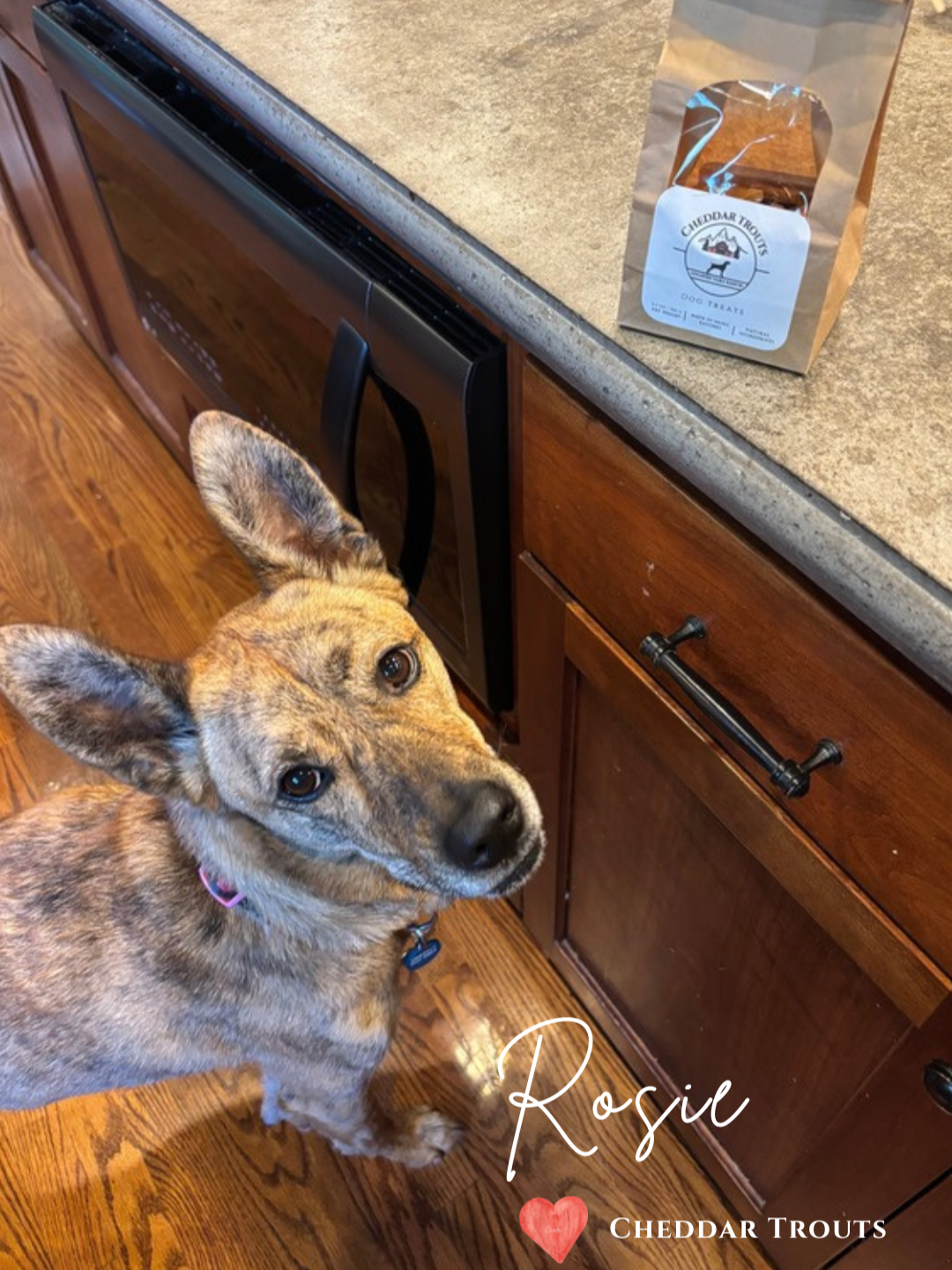 Customer+Pic+Rosie.png