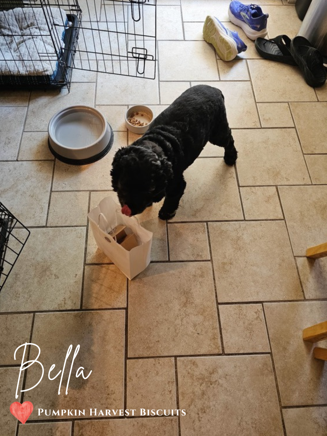 Customer+Pic+Rosie-5.png