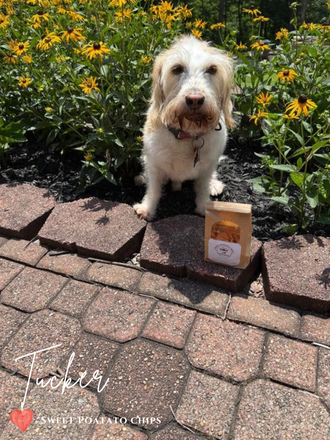 Customer+Pic+Rosie-6.png