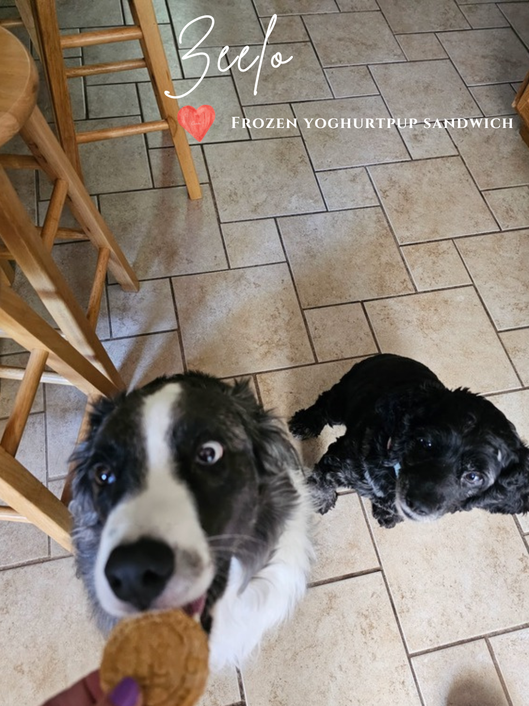 Customer+Pic+Rosie-7.png