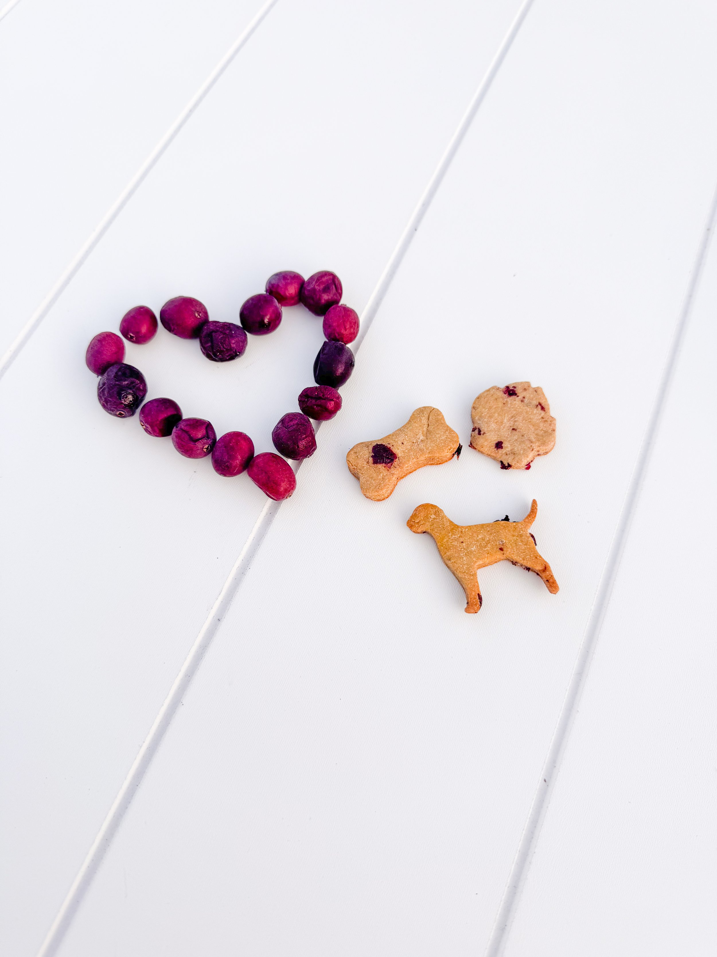 Cranberry Biscuits