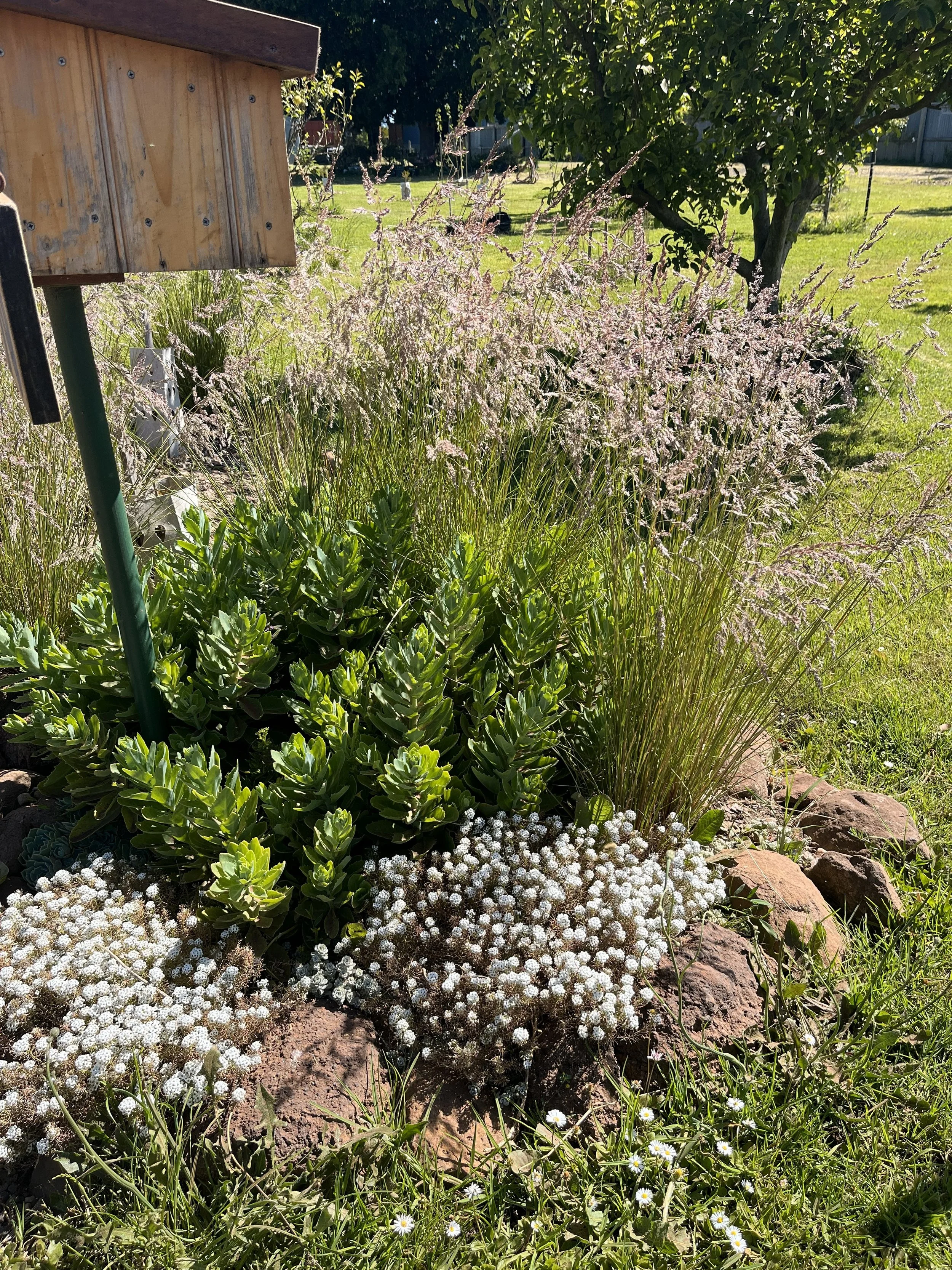 Hands-on gardening examples