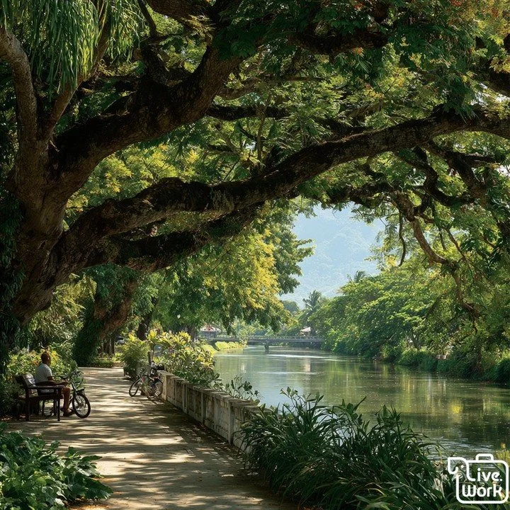 Need a reset in Chiang Mai without a long drive? Start in a shady park loop, then drift to the Ping River for an easy stroll and people-watching. If you&rsquo;ve got a little more time, head toward the lower Doi Suthep trails for cooler air and a sky