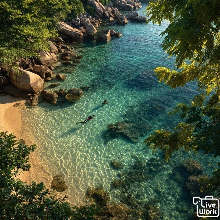 Snorkeling in Koh Tao: A Beginner-Friendly Guide to Safe, Reef-Respectful Exploration