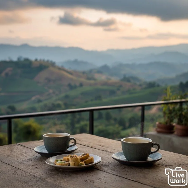Chiang Rai&rsquo;s tea &amp; coffee hills are made for a slow day&mdash;misty viewpoints, green terraces, and unhurried tastings. Sip bright northern Arabica, then switch to fragrant local teas while you watch the clouds drift through the valleys. Br