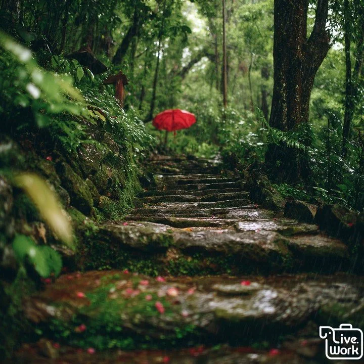 When the rains return to Chiang Mai, the whole landscape turns a richer, deeper green&mdash;rice fields glow and the mountains wear a veil of mist. Showers often come in quick waves, so mornings are perfect for exploring and afternoons are great for 