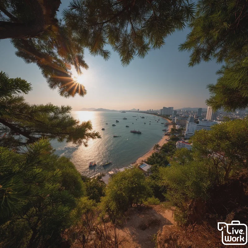 Pattaya Day Trip from Bangkok: Koh Larn, Coastal Views, and Local Seafood Without Overplanning