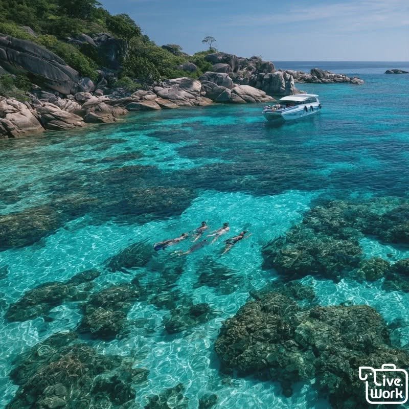 Similan Islands Snorkeling Day Trip: Realistic Expectations, Boat Comfort, Sea Conditions, and Reef-Safe Travel