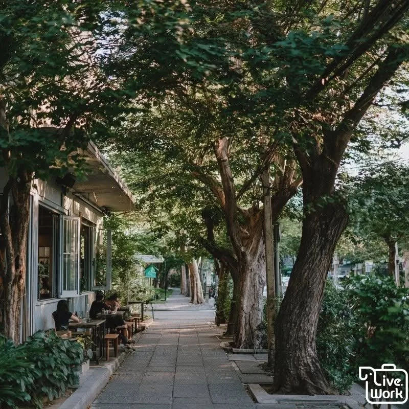 Ari Bangkok Slow Afternoon Guide: Leafy Sois, Brunch, Cafés, Small Shops, and a Gentler Side of the City