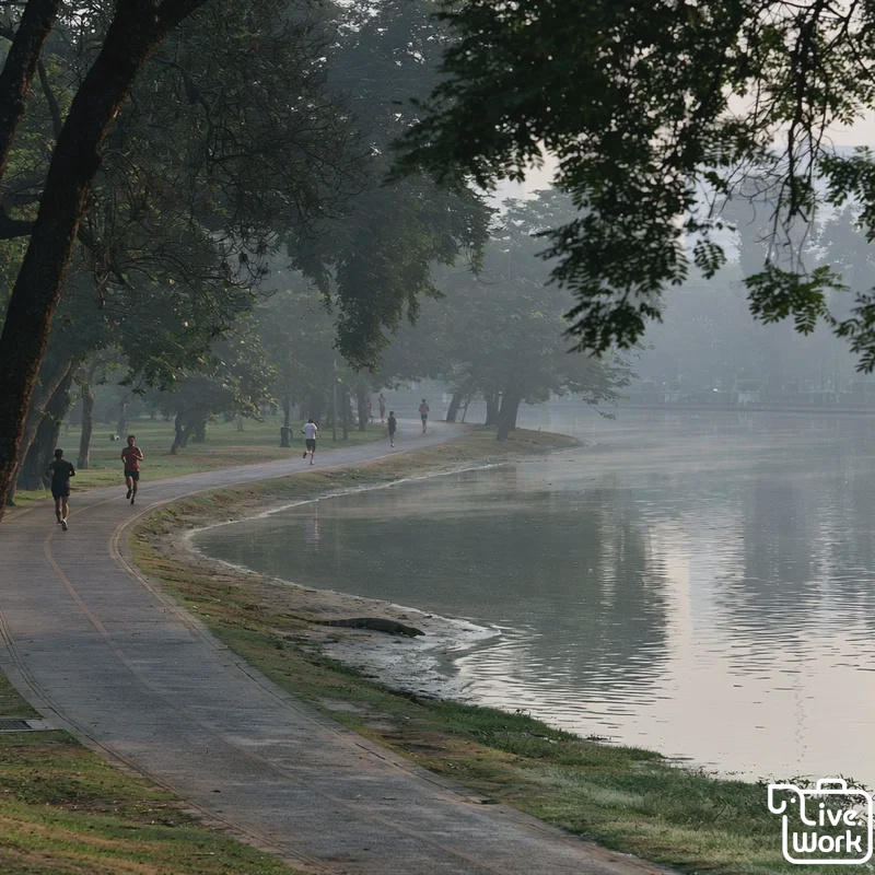 Bangkok’s Best Parks for a Quick Escape: Lumphini, Benjakitti, Rot Fai, and Queen Sirikit Park