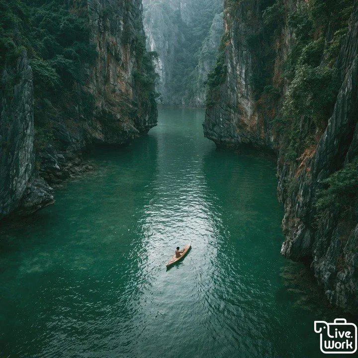 Exploring Phang Nga Bay by Boat and Sea Kayak: Caves, Lagoons, Tides, and Responsible Wildlife Viewing