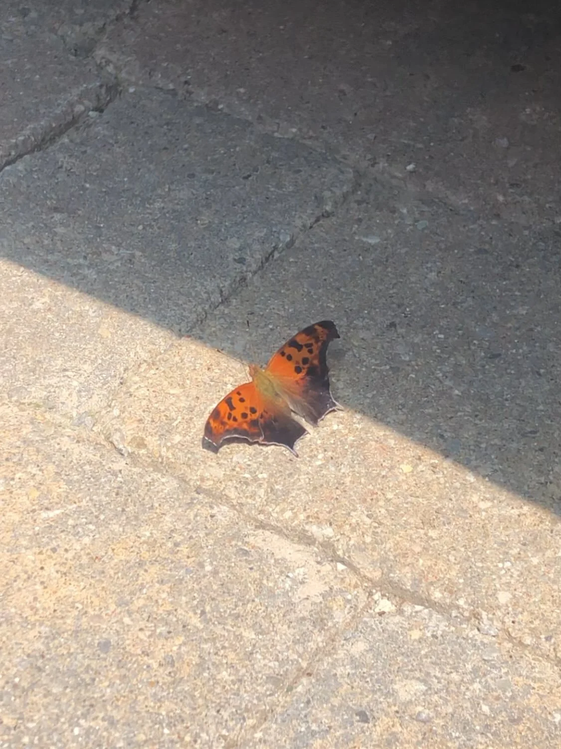 🧡 little moments, big year