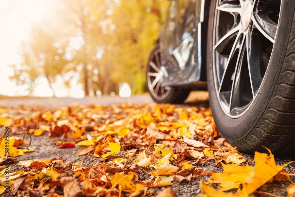 The first day of Fall is here, and falling leaves aren&rsquo;t just pretty &mdash; they can be as slick as ice when the road&rsquo;s wet.

Give yourself extra braking room, and be wary of hidden potholes under those piles!

📞 If the leaves win the t