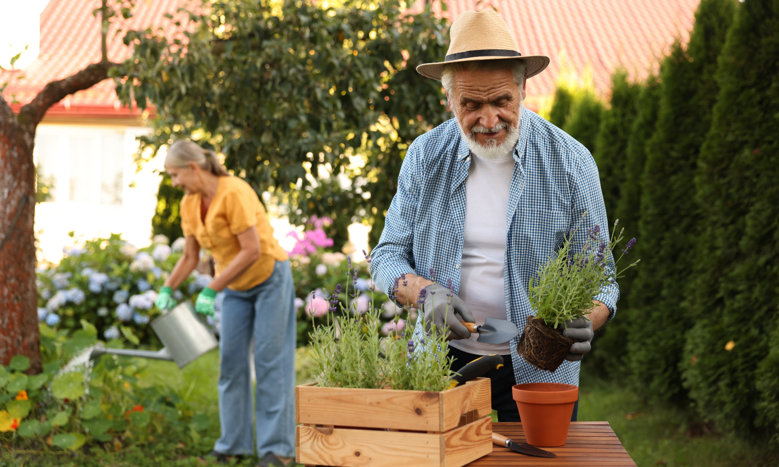 Spring Wellness Tips for Seniors&nbsp;