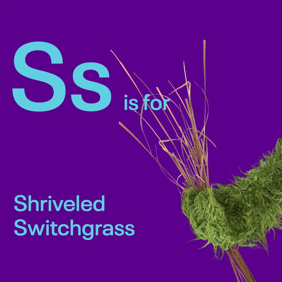 S_square_1080x1080_Meta_PURPLE copy.jpg