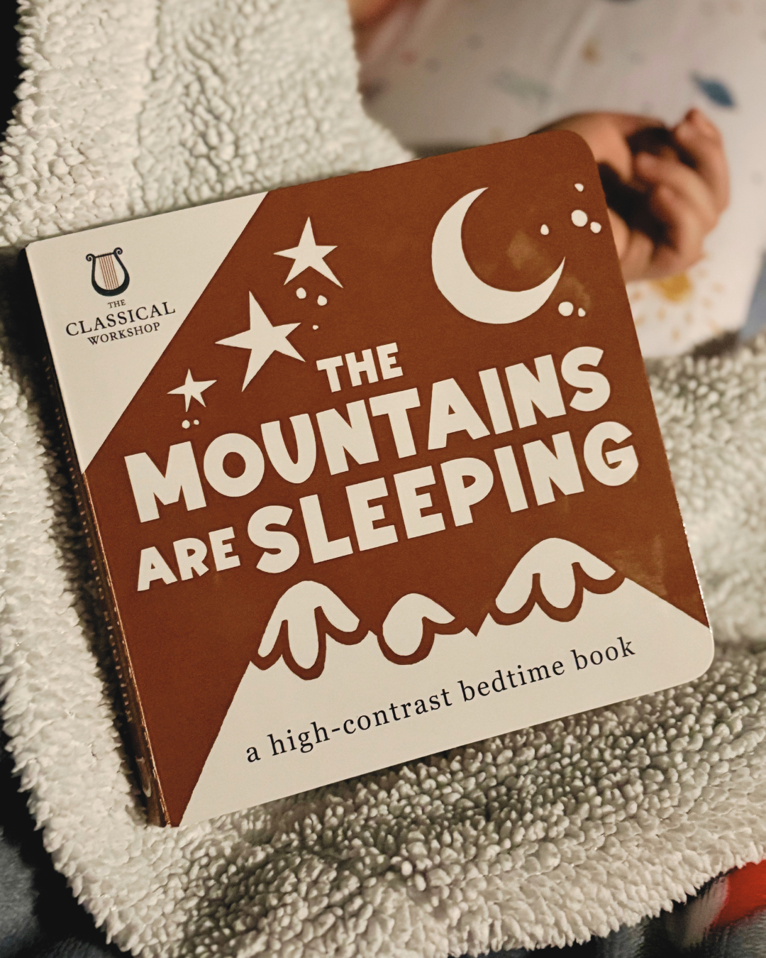 The Mountains Are Sleeping: A High-Contrast Board Book