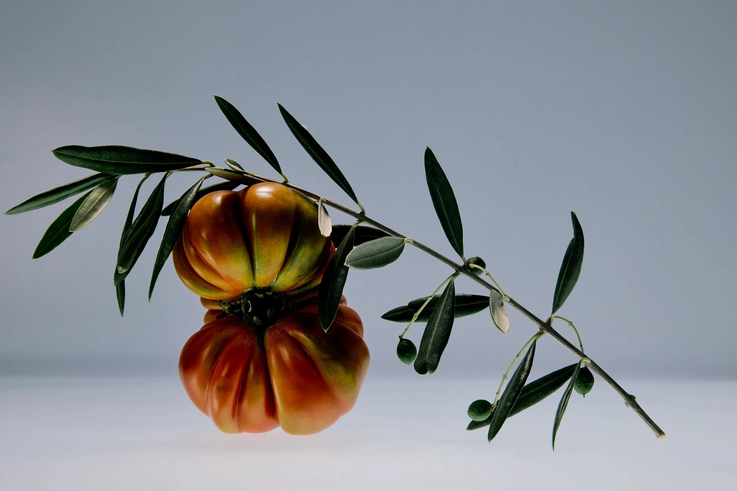 Heirloom tomato with olive branch on light background