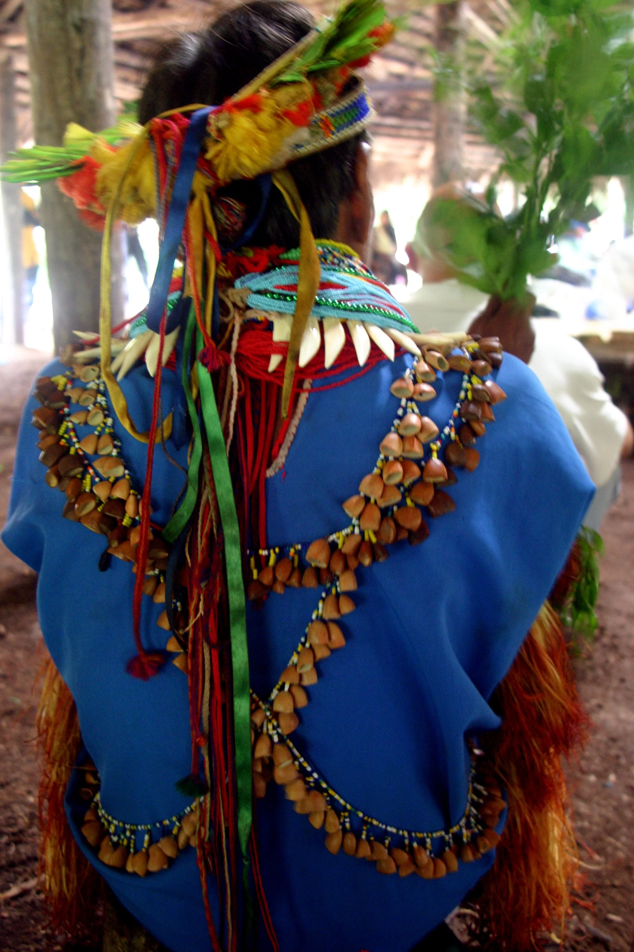 The Importance of Free, Prior, and Informed Consent for the Defense of Indigenous Territories.